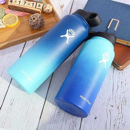 Insulated Stainless Steel Water Bottle - worthyhog
