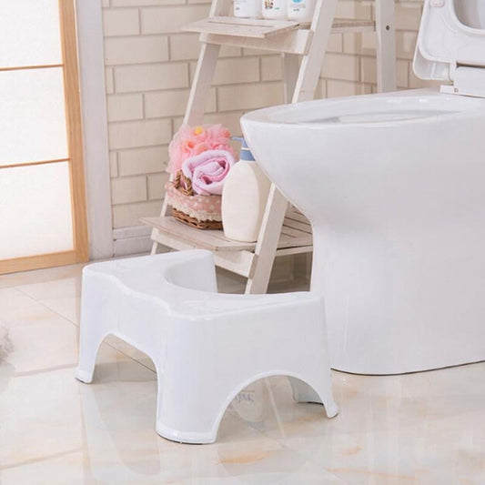 Squatty Toilet Step Stool - worthyhog