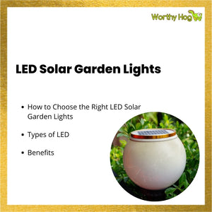 LED Solar Garden Lights