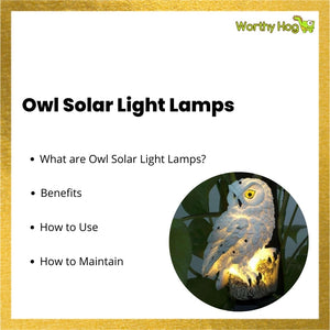 Owl Solar Light Lamps
