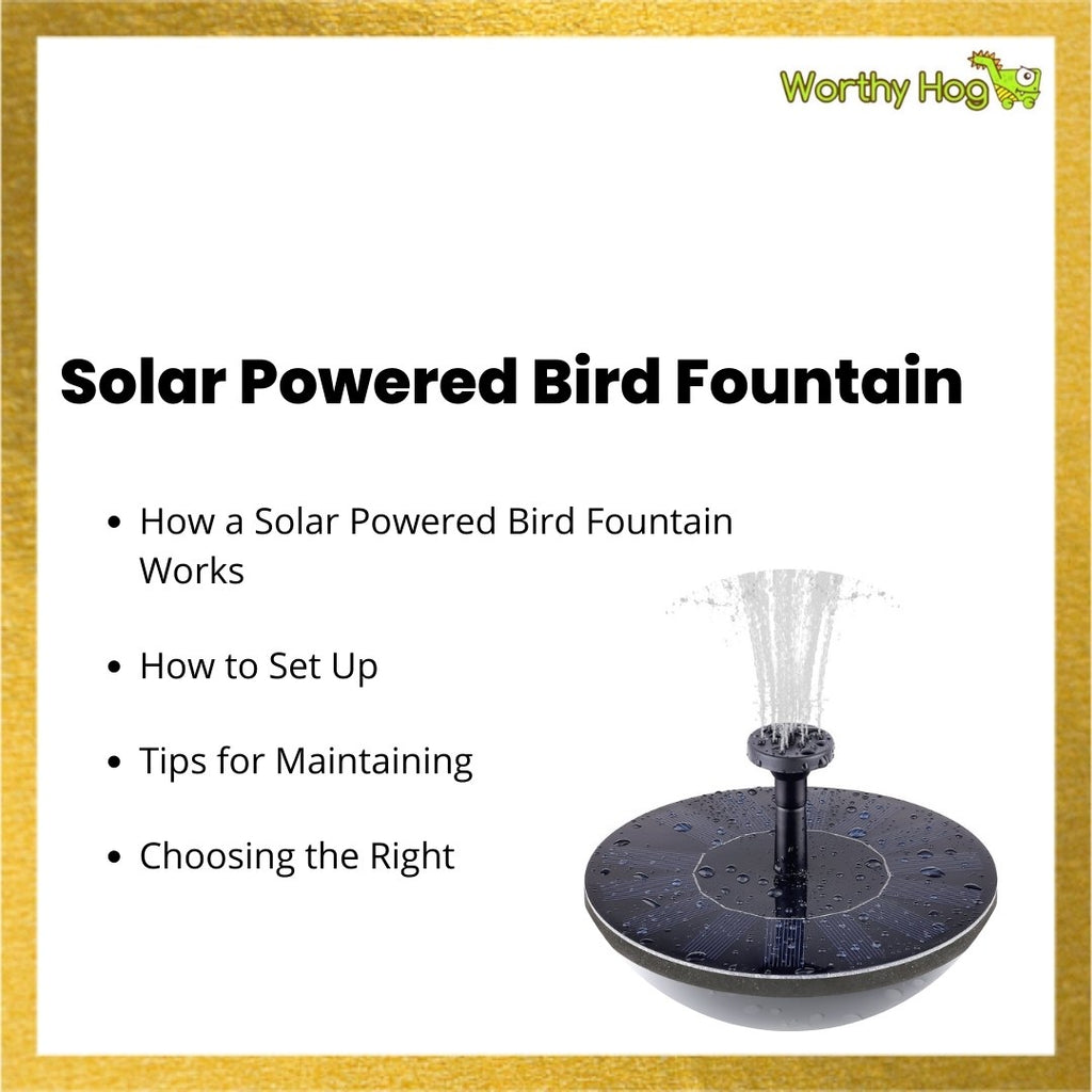 Solar Powered Bird Fountain