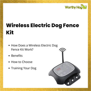 Wireless Electric Dog Fence Kit