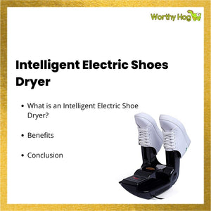 Intelligent Electric Shoes Dryer