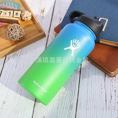Insulated Stainless Steel Water Bottle - worthyhog